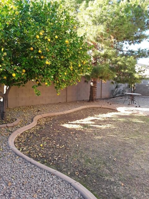 R-Lemon-tree
