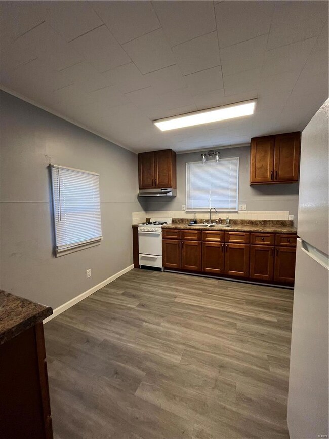 8 N Edison St, Freeburg, IL 62243 - photo 7