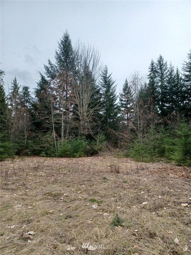 0 190th St E unit NWM1903983, Orting, WA 98360 - photo 7