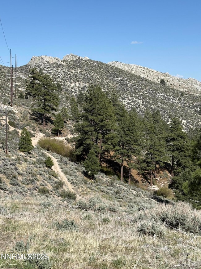 5000 W Hwy 50, Carson City, NV 89703 - photo 7