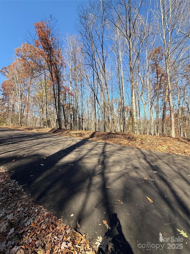 V/L Lot 112 Trail Ridge, Marion, NC 28752 - photo 5