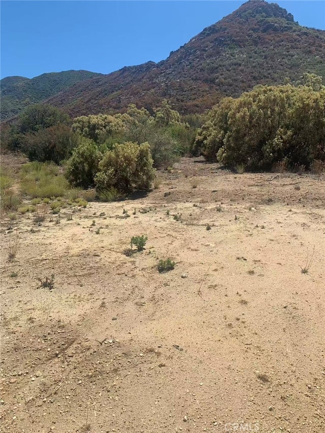 57775 Running Springs Rd, Anza, CA 92539 - photo 3