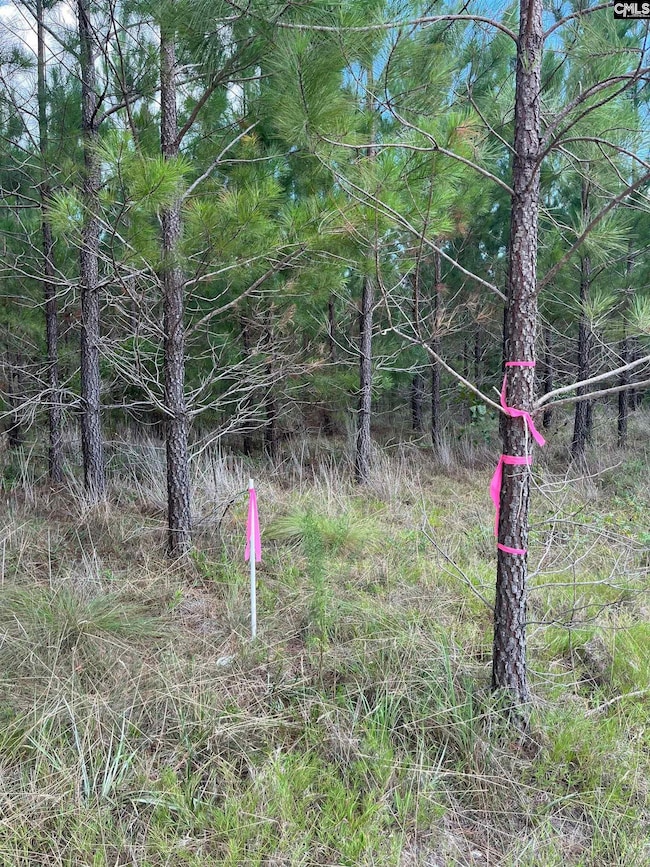 BFF 1A J C Barefoot Rd unit BFF 1A, Patrick, SC 29584 - photo 3