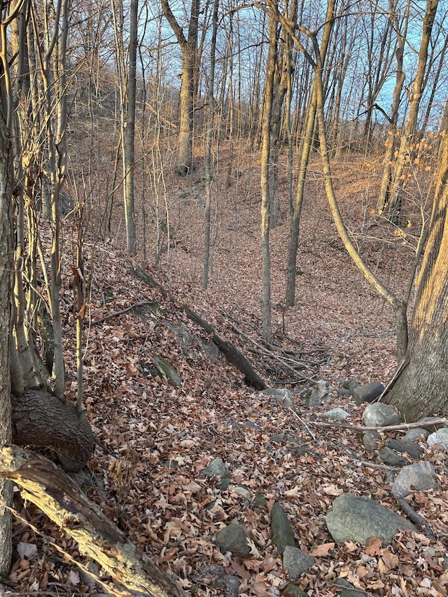 Lot 1 Pierce County Road B, Woodville, WI 54028 - photo 7