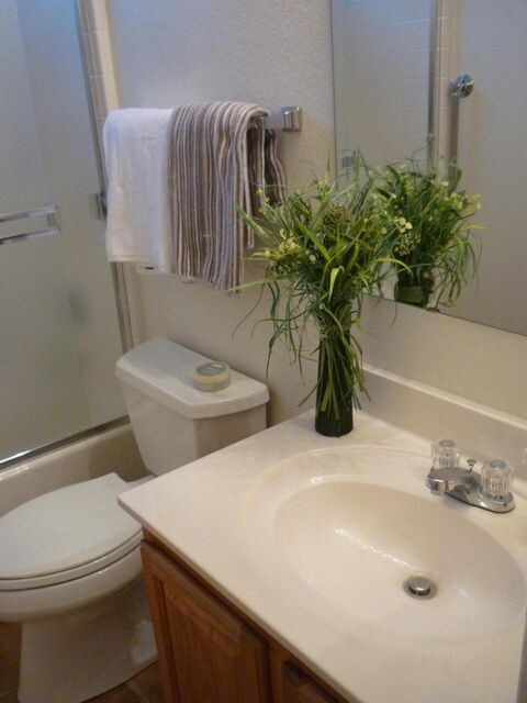 Guest Bath 1