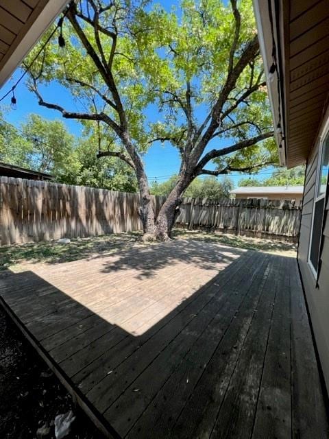 Side yard