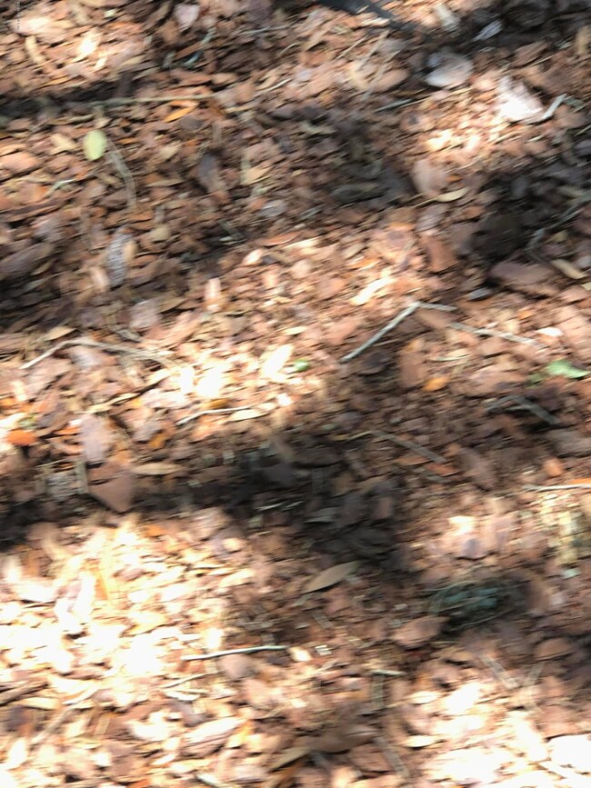 IMG-5623