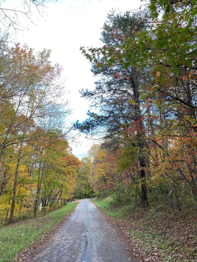 1873 Teton Ct, Sugar Grove, OH 43155 - photo 4