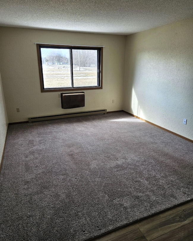 511 Carolina Ave unit 4, Hoffman, MN 56339 - photo 5