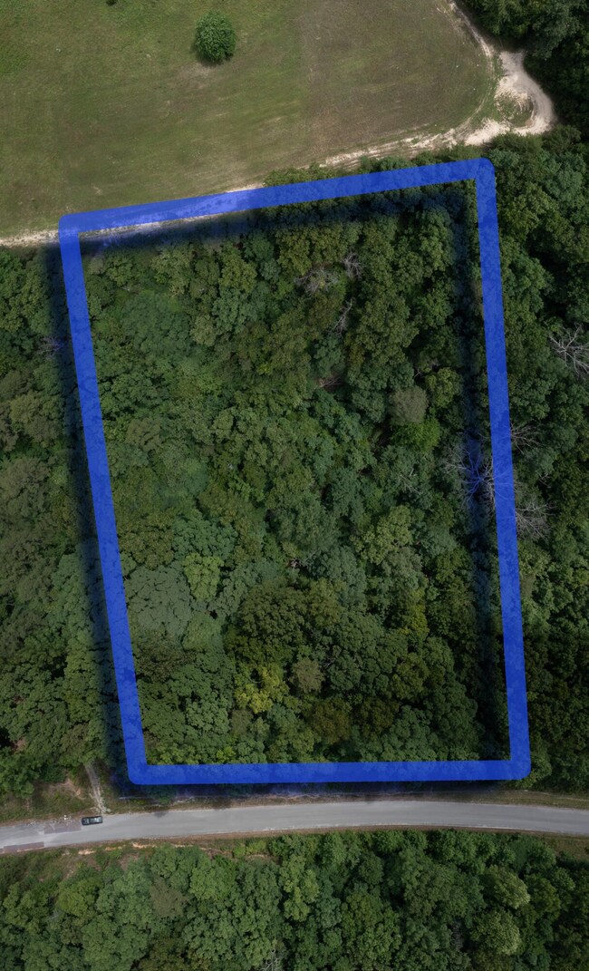 0 Teludachee Trail unit RTC2720903, South Pittsburg, TN 37380 - photo 3