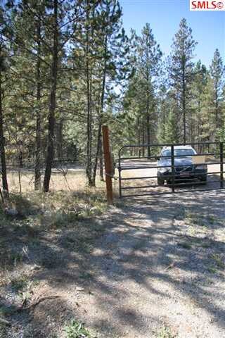 1031 Homestead Rd, Athol, ID 83801 - photo 3