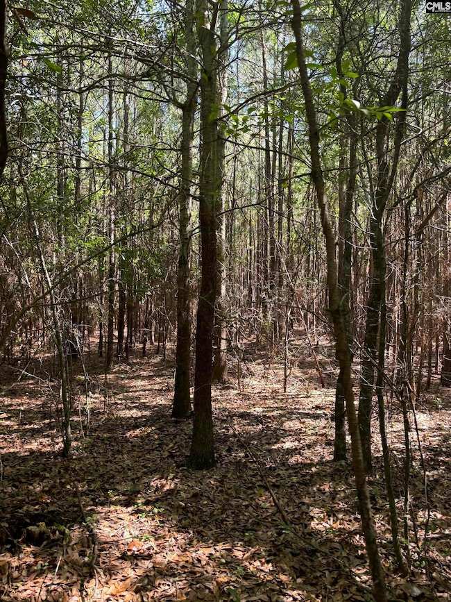 0 Black River Rd, Rembert, SC 29128 - photo 5
