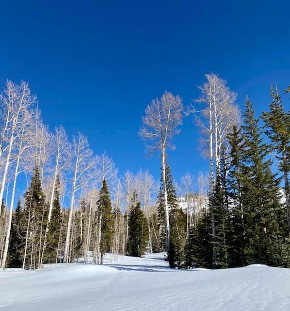 333 E Toboggan Ln unit Lot 17 Blk D Ski Hav, Brian Head, UT 84719 - photo 2