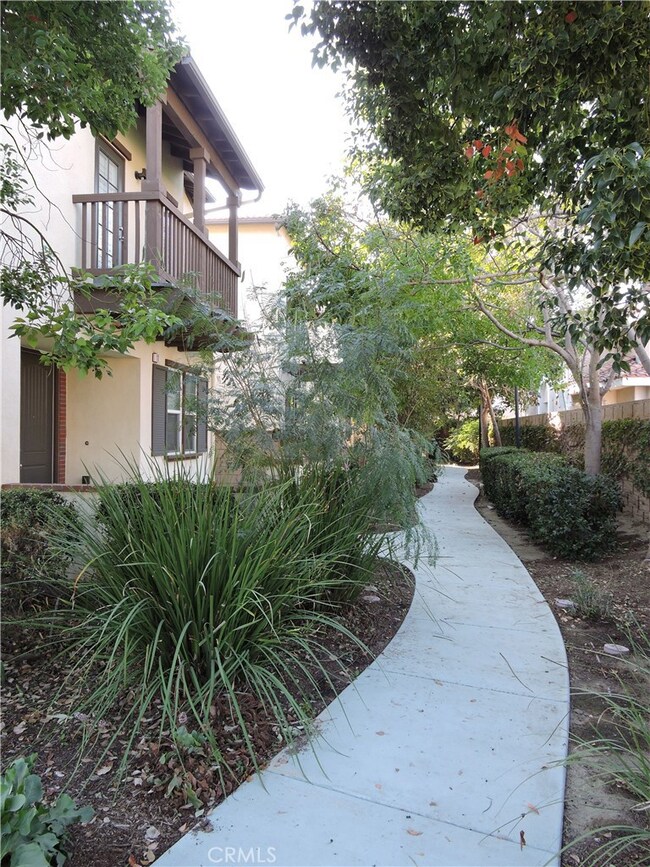 Walkway to front of house.