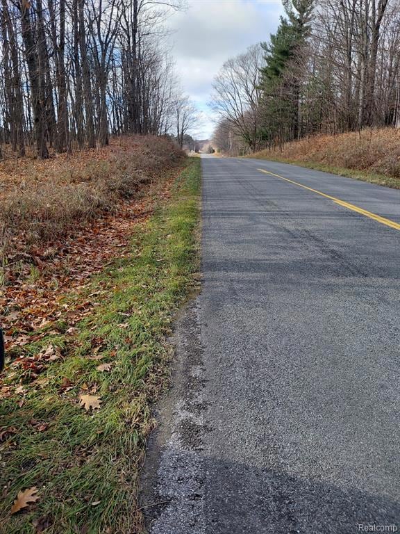 4547 Potter Rd, Bear Lake, MI 49614 - photo 6