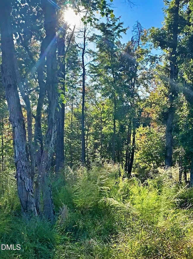 1901 Carver Dr, Roxboro, NC 27573 - photo 4