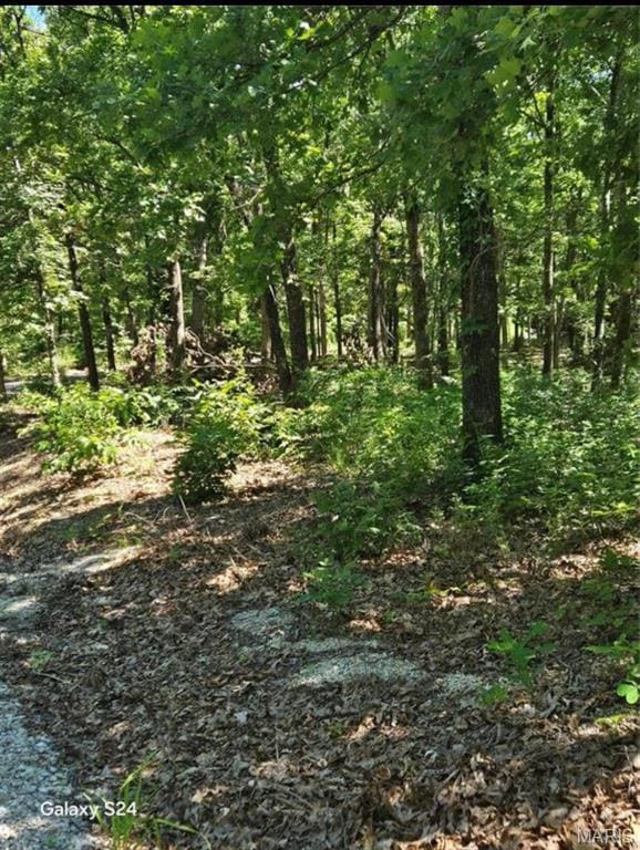 Build your dream home in this magical forest