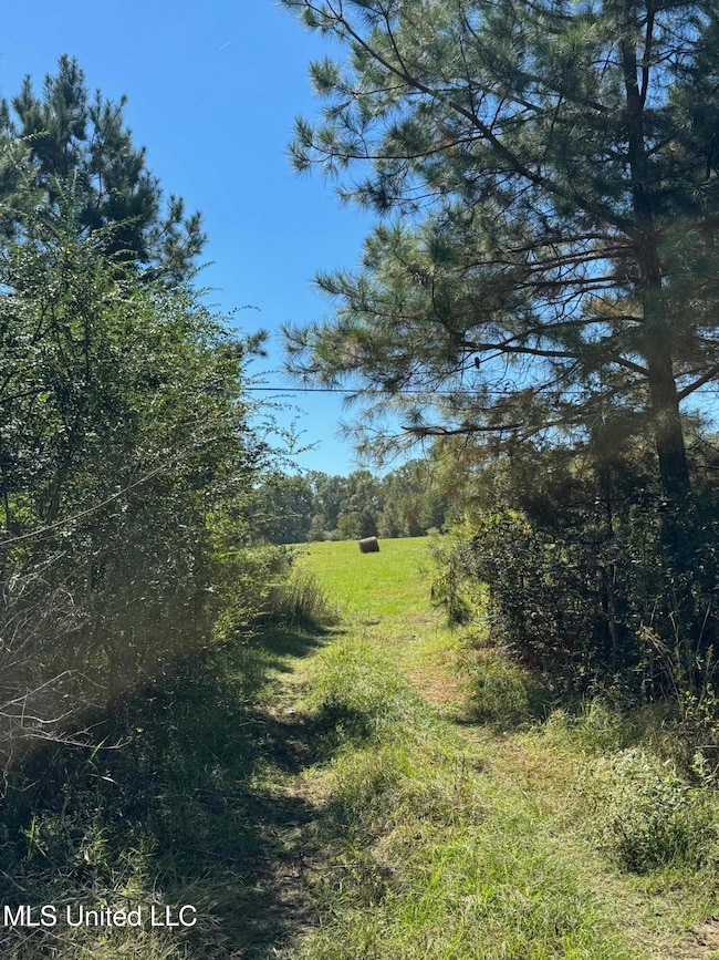 0 Parsons Rd unit 4131662, Terry, MS 39170 - photo 3