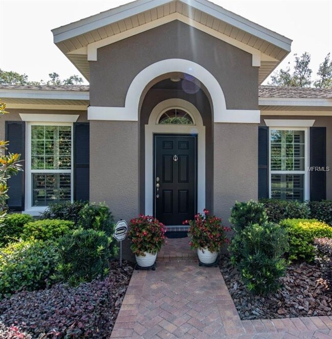 16007 Courtside View Dr, Lithia, FL 33547 - photo 3