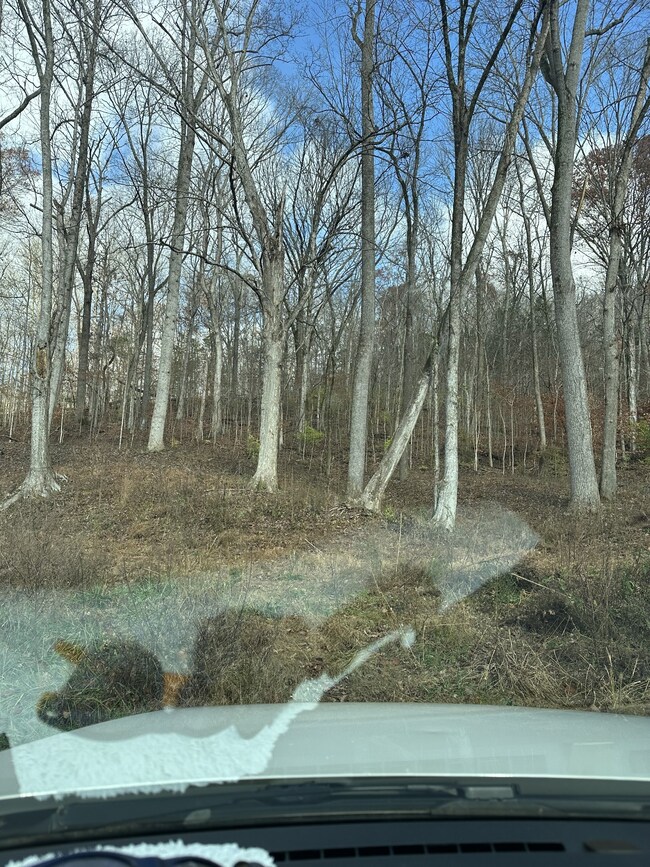 0 Mccrory Ln unit RTC3050258, Nashville, TN 37221 - photo 2