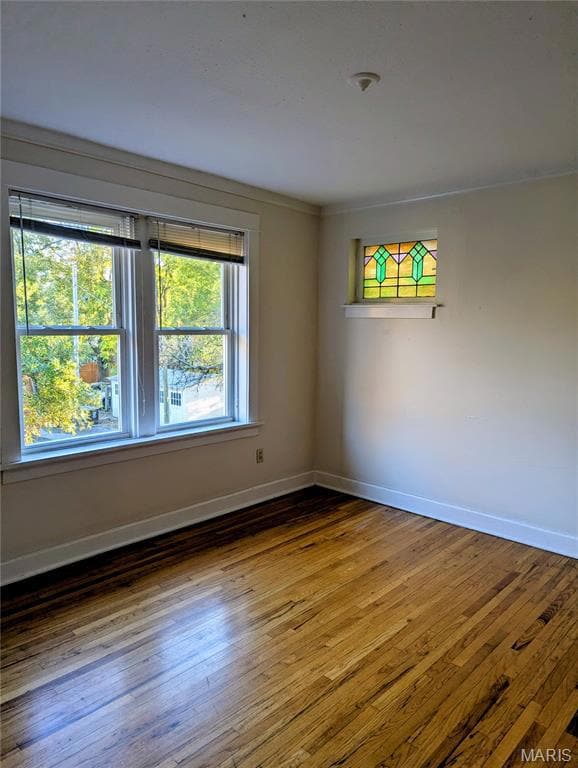 2039 Maury Ave, Saint Louis, MO 63110 - photo 5