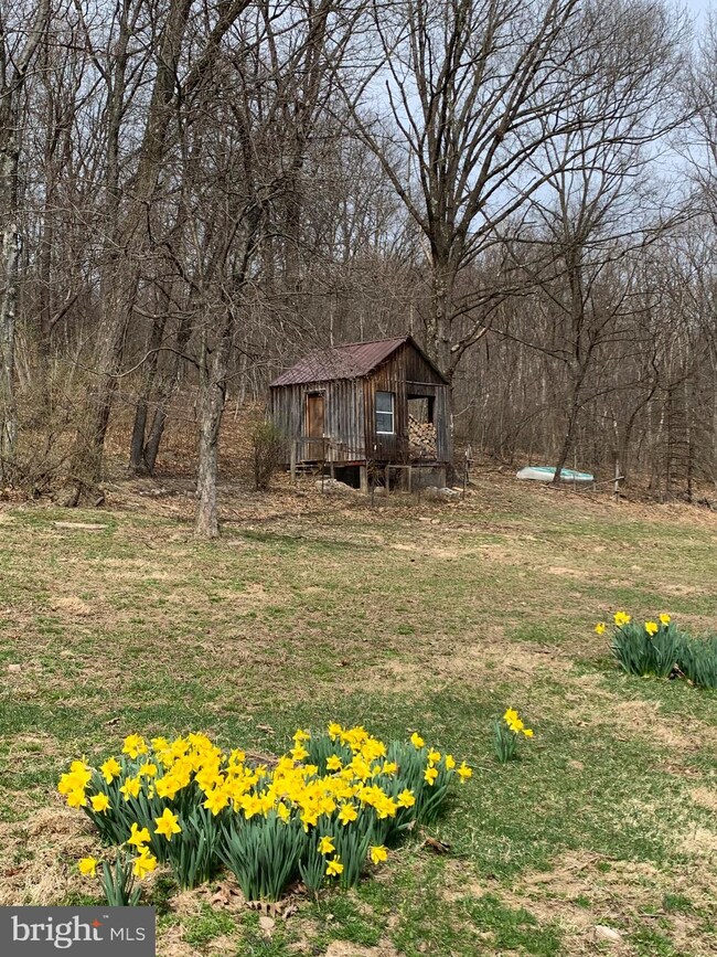 1595 Pine Swamp Rd, Keyser, WV 26726 - photo 4