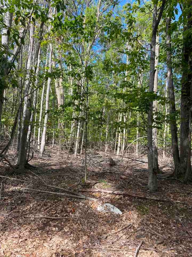 Lots 156 & 157 Humming Bird Ct unit 156 & 157, Otsego Lake Township, MI 49735 - photo 4