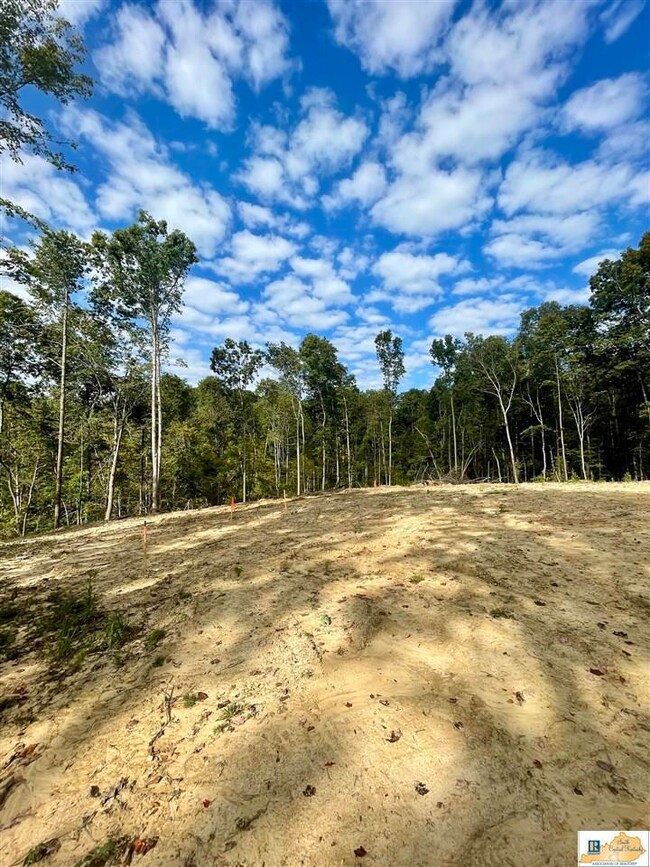 Lot 15 Ranchero Rd, Clarkson, KY 42726 - photo 6