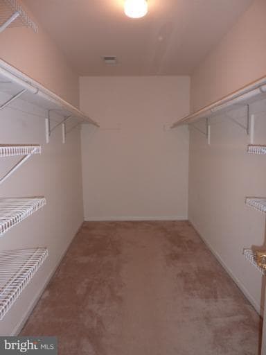 12977 Queen Chapel Rd, Woodbridge, VA 22193 - photo 5