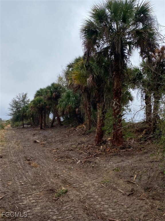 20018 NW 284th St, Okeechobee, FL 34972 - photo 4