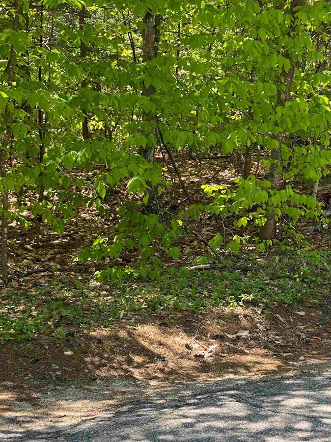 Lot 14 Chapel St, Conway, NH 03860 - photo 4