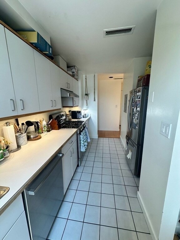 2 Chestnut St unit PH51, Cambridge, MA 02139 - photo 5