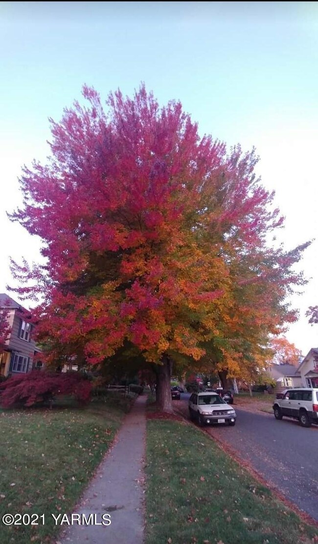 2206 Eleanor St, Yakima, WA 98902 - photo 3