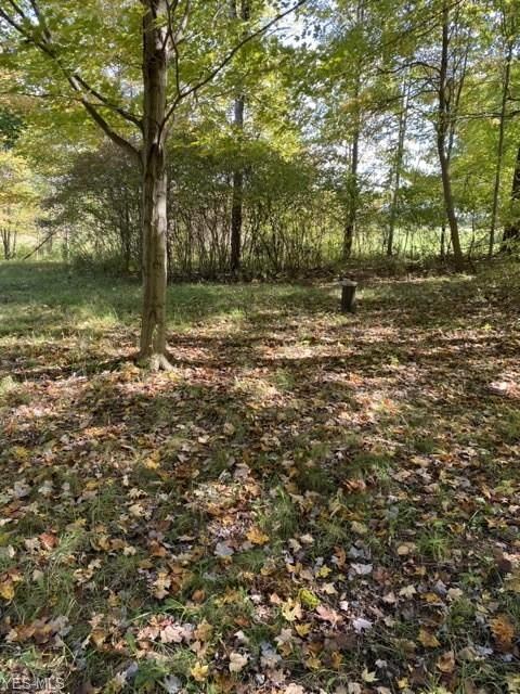 5361 Hatches Corners Rd, Conneaut, OH 44030 - photo 7