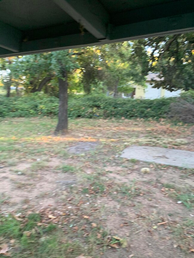 backyard