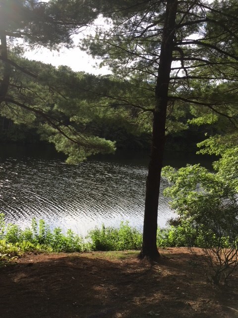 7 Memory Ln, Johnston, RI 02919 - photo 7