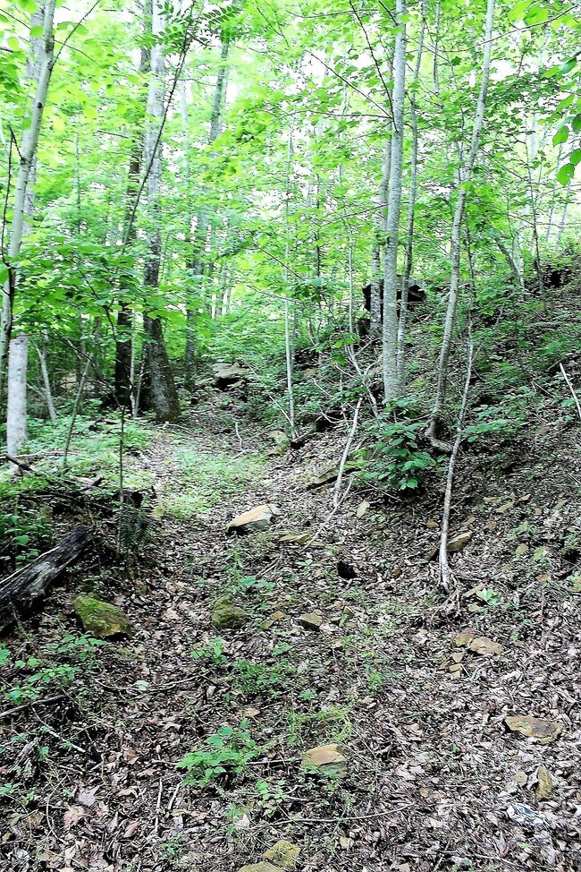 0 Old Mill Creek Rd, Monterey, TN 38574 - photo 7