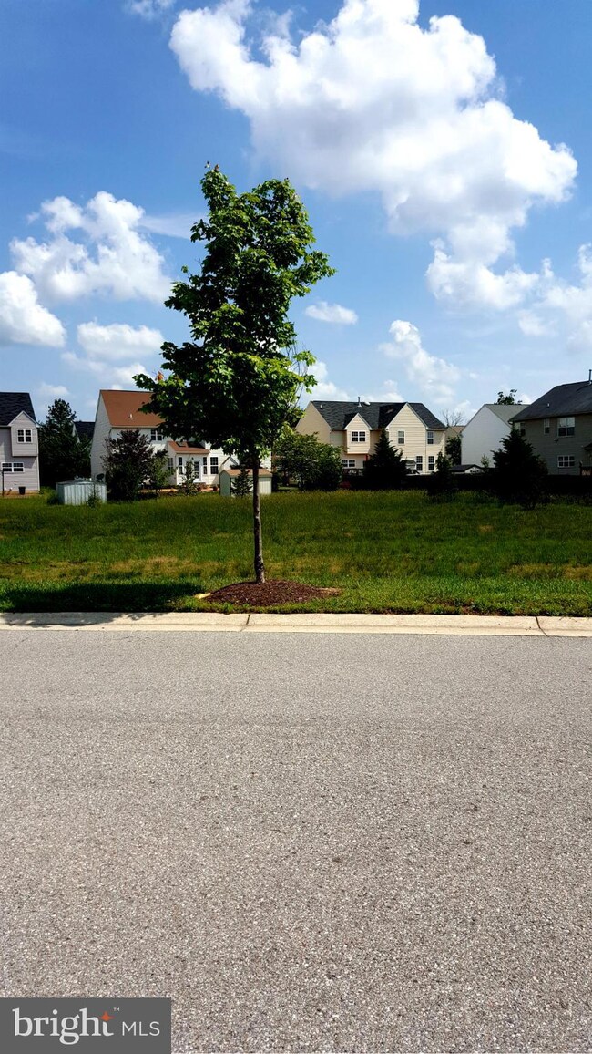 10249 Warfield St, White Plains, MD 20695 - photo 5