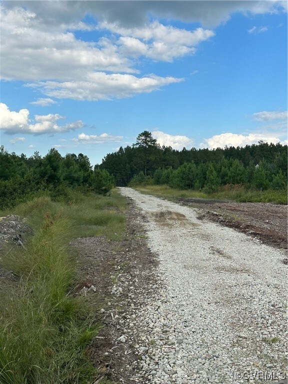 TBD Lawyers Rd, Prince George, VA 23842 - photo 3