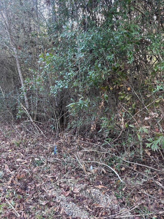 00 Williams Cutoff, Sumrall, MS 39482 - photo 5