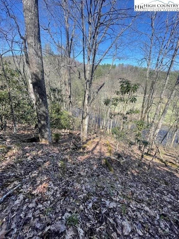 TBD Spruce Ln, Crumpler, NC 28617 - photo 3