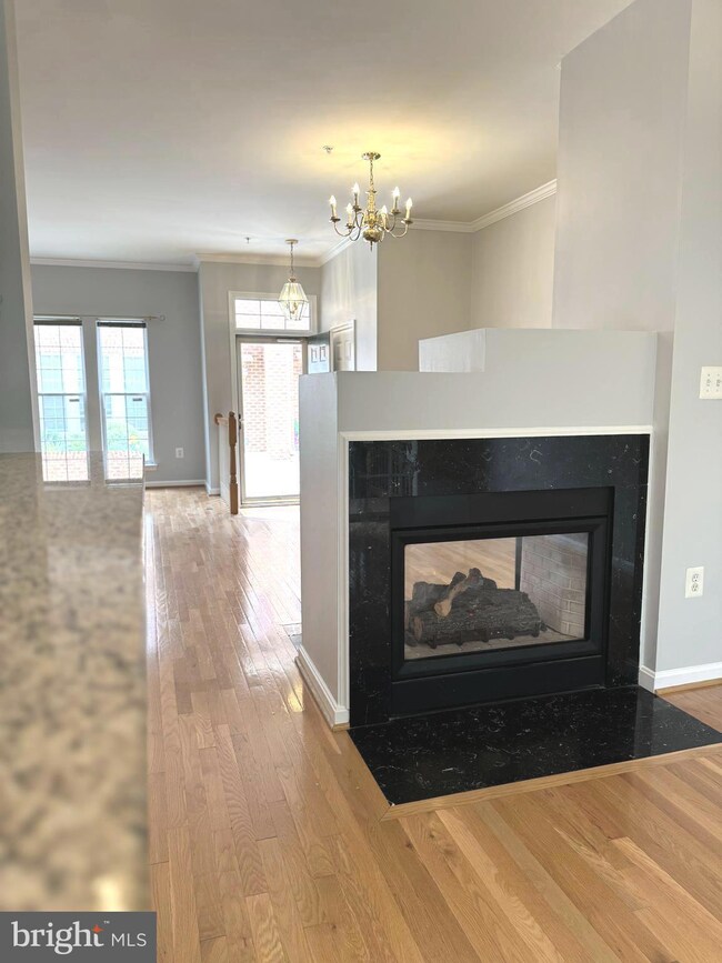 6026 Madison Overlook Ct, Falls Church, VA 22041 - photo 3