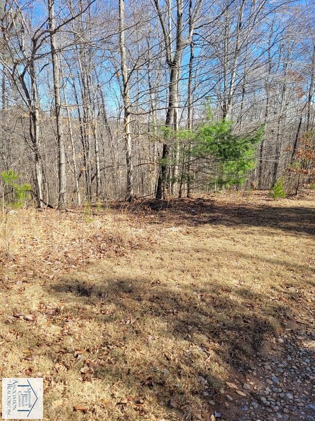 00 Turkey Trot Ln, Stuart, VA 24171 - photo 2