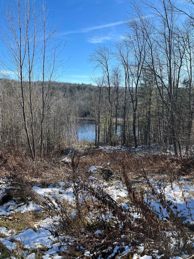 2157 River Rd, Gilman, VT 05904 - photo 7