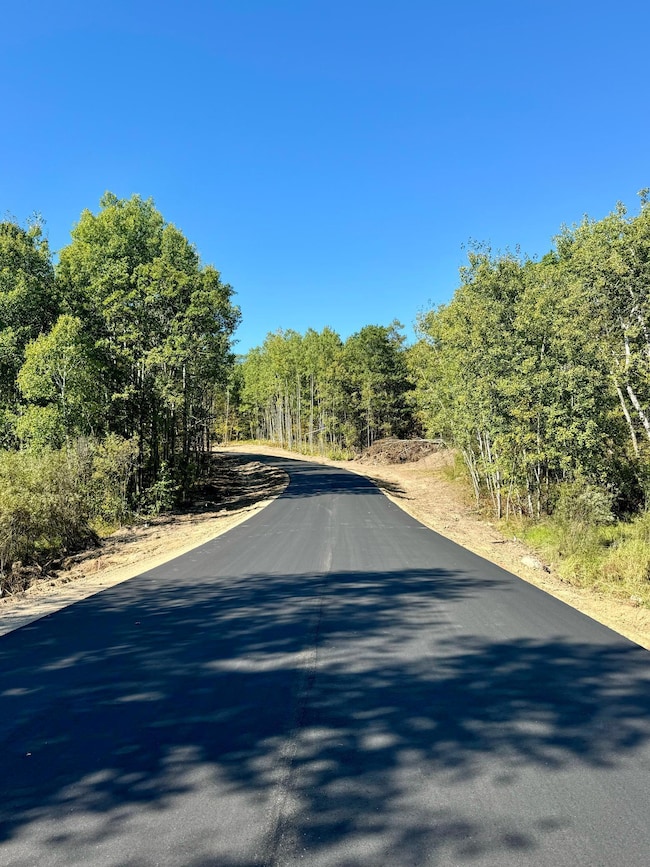TBD3 Winter Creek Ct, Fairview Township, MN 56468 - photo 4
