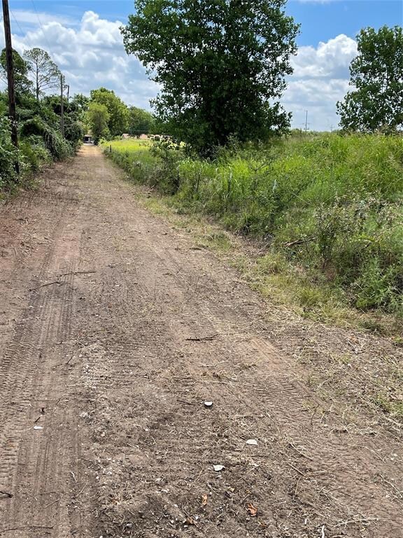 724 Silver Creek Azle Rd, Sanctuary, TX 76020 - photo 6