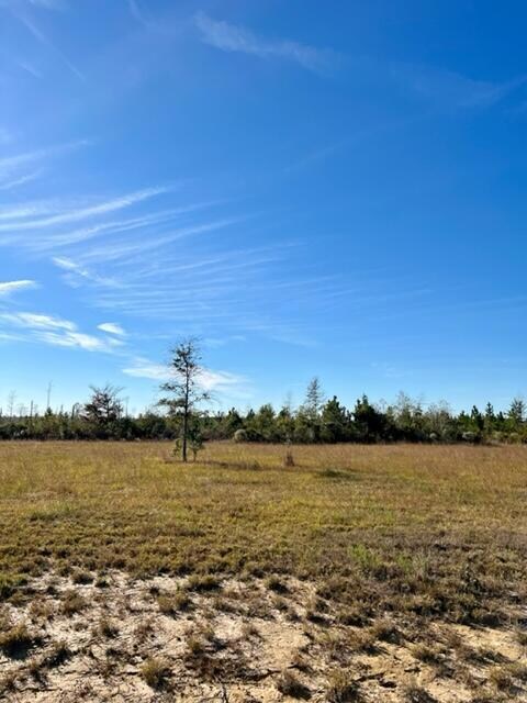 0 Rea Rd Tract 7 unit 26-3998, Deridder, LA 70634 - photo 3