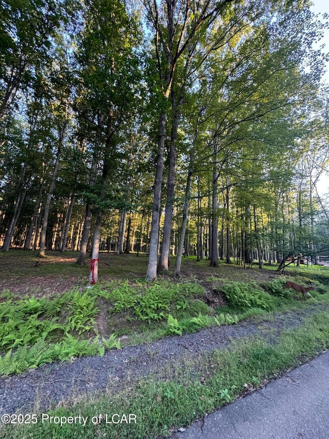 E-114 Conyngham Dr, Hazle Township, PA 18202 - photo 3