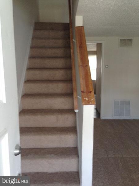 3033 Lorena Ave, Baltimore, MD 21230 - photo 4