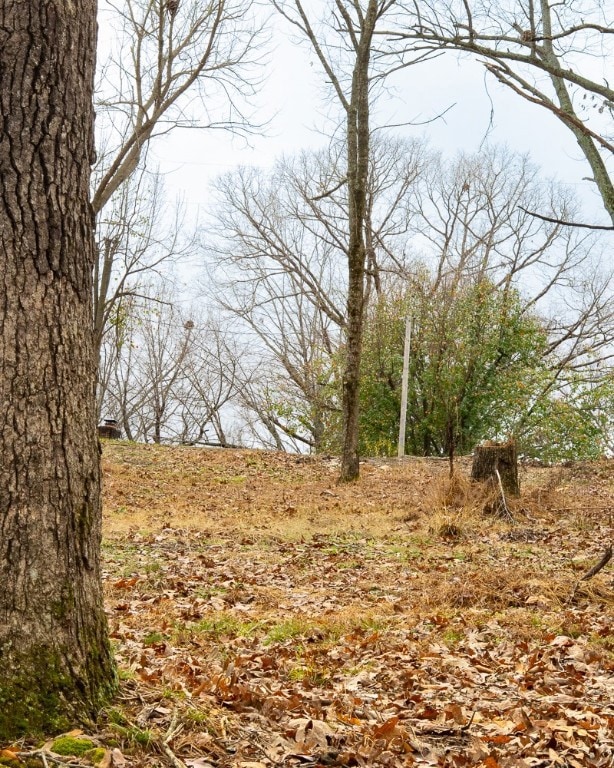 LOt 4 S Old Dutch, Prairie Creek, AR 72756 - photo 7